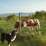 Brzozami Malowane Casa vacanze