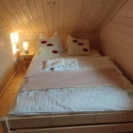 Σπίτι διακοπών Brzozami Malowane *