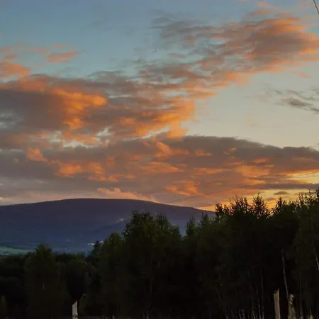 Brzozami Malowane Giebultow (Lwowek Slaski)