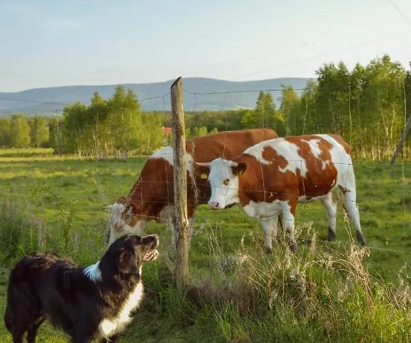 Brzozami Malowane Сasa de vacaciones