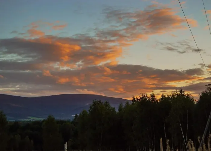 Brzozami Malowane Giebultow (Lwowek Slaski)